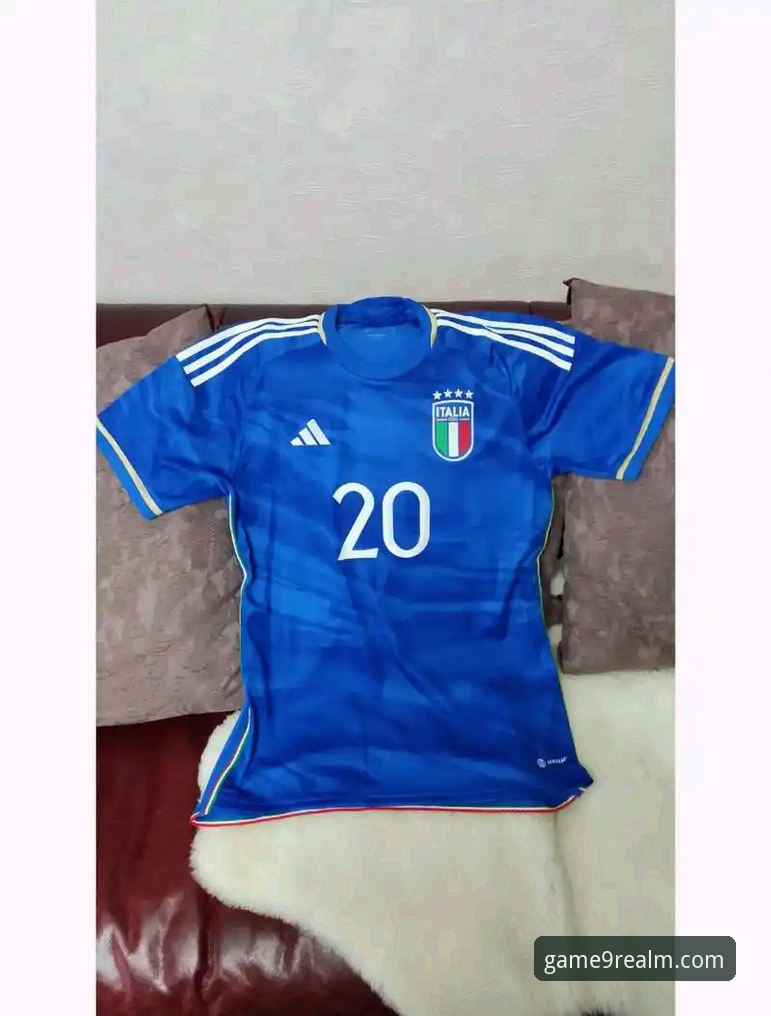 资深球迷分享在九游游戏中心追踪意大利队世界杯预选赛的心酸历程